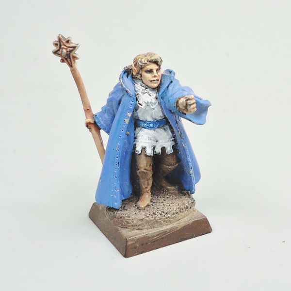 High Elves Character Painted - Warhammer Fantasy -  Age of Sigmar - Old World