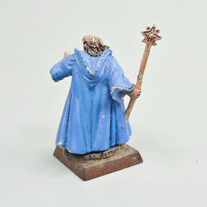 High Elves Character Painted - Warhammer Fantasy -  Age of Sigmar - Old World