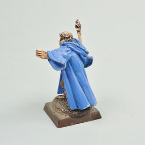 High Elves Character Painted - Warhammer Fantasy -  Age of Sigmar - Old World