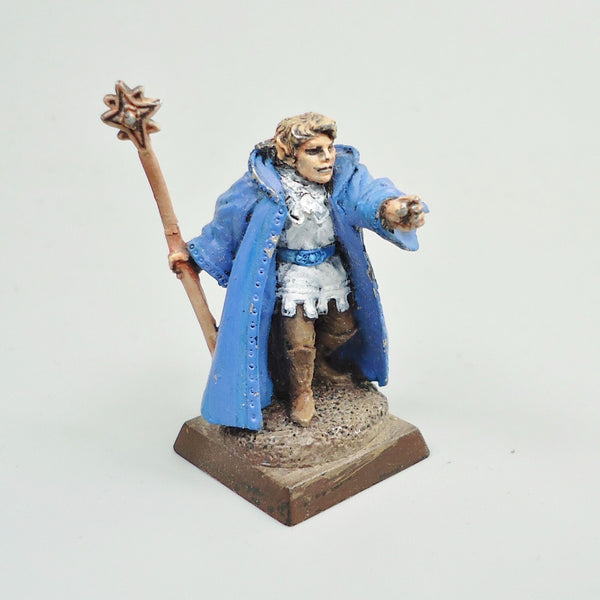 High Elves Character Painted - Warhammer Fantasy -  Age of Sigmar - Old World