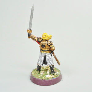 King Theoden Painted and Based - Warhammer LOTR - Lord Of The Rings