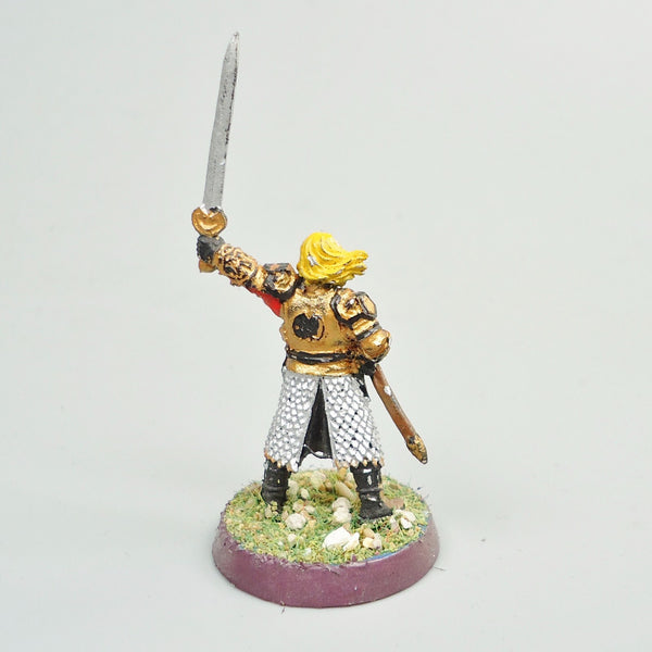 King Theoden Painted and Based - Warhammer LOTR - Lord Of The Rings