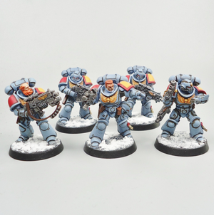 Space Wolves - Intercessors x5 Painted -  Warhammer 40k - Space Marines - GW