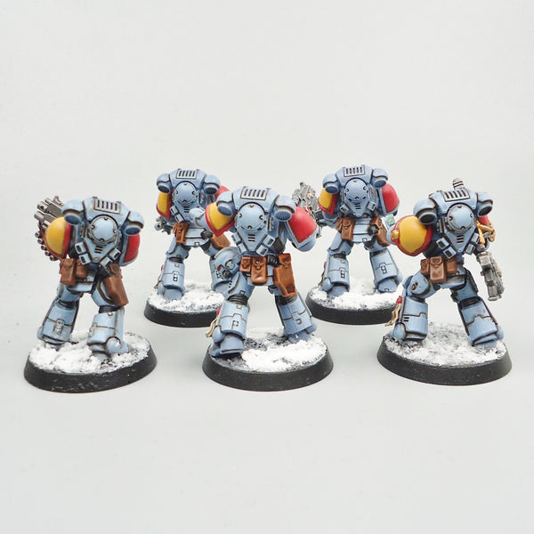 Space Wolves - Intercessors x5 Painted -  Warhammer 40k - Space Marines - GW