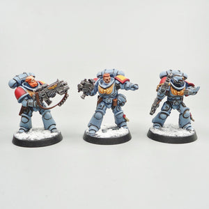 Space Wolves - Intercessors x5 Painted -  Warhammer 40k - Space Marines - GW