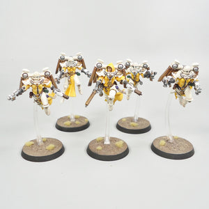 Adepta Sororitas Seraphim Squad x 5 Warhammer 40k