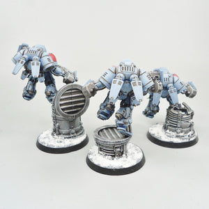 Space Wolves - Inceptors x3 Painted -  Warhammer 40k - Space Marines - GW