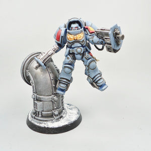 Space Wolves - Inceptors x3 Painted -  Warhammer 40k - Space Marines - GW