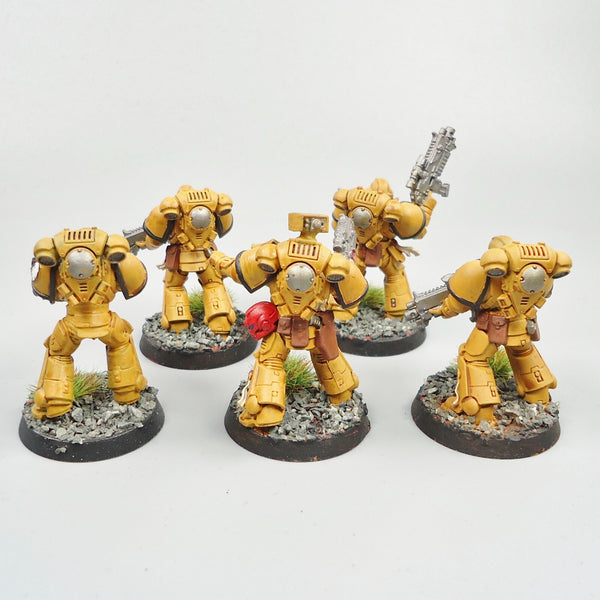 Imperial Fists Primaris Intercessors x5 Painted Warhammer 40k Space Marines