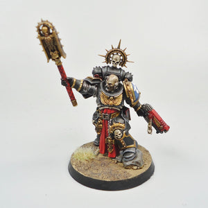 Space Marines Ultramarines Primaris Chaplain Painted - Warhammer 40k