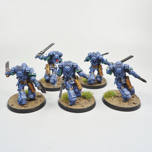 Warhammer 40k Ultramarines Assault Intercessors x5 Painted - Space Marines