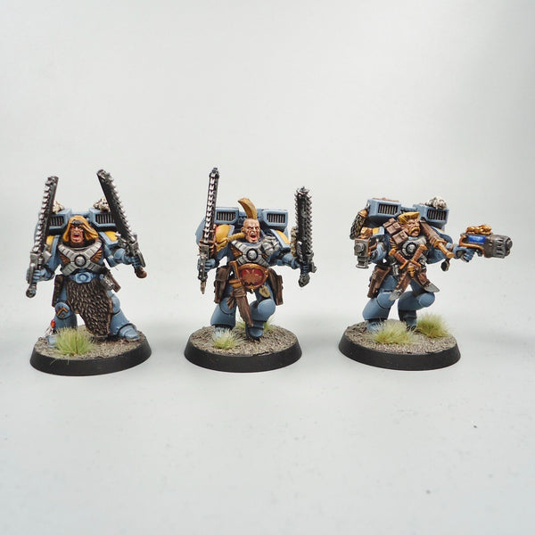 Space Wolves - Jump Pack Marines x5 Painted - Warhammer 40k -  Space Marines