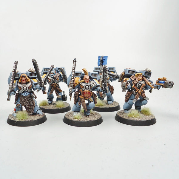 Space Wolves - Jump Pack Marines x5 Painted - Warhammer 40k -  Space Marines