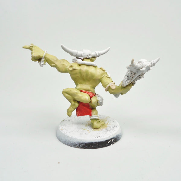 Orruk Shaman Part Painted - Warhammer Army Age of Sigmar