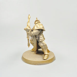 Stormcast Eternals Castigator undercoated - Warhammer Fantasy Age of Sigmar Army