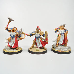 Stormcast Eternals - Sequitors x5 Painted - Warhammer Fantasy Age of Sigmar Army