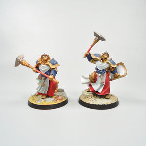 Stormcast Eternals - Sequitors x5 Painted - Warhammer Fantasy Age of Sigmar Army