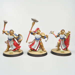 Stormcast Eternals - Sequitors x5 Painted - Warhammer Fantasy Age of Sigmar Army