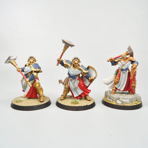 Stormcast Eternals - Sequitors x5 Painted - Warhammer Fantasy Age of Sigmar Army