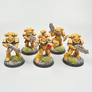 Imperial Fists - Primaris Intercessors x5 Painted - Warhammer 40k  Space Marines