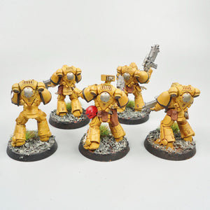Imperial Fists - Primaris Intercessors x5 Painted - Warhammer 40k  Space Marines