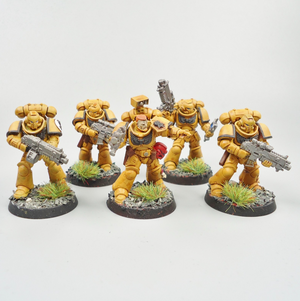 Imperial Fists - Primaris Intercessors x5 Painted - Warhammer 40k  Space Marines