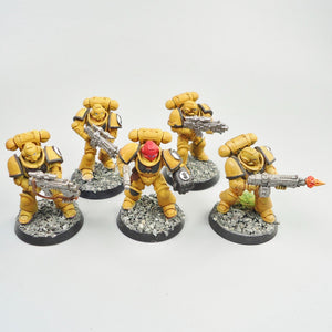 Imperial Fists - Primaris Intercessors x5 Painted - Warhammer 40k Space Marines
