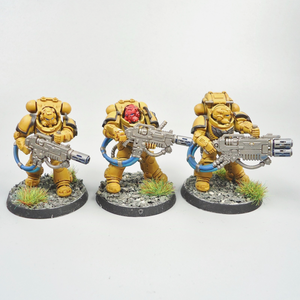 Imperial Fists Primaris Eradicators x3 Painted Warhammer 40k Space Marines