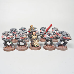 Dark Angels -  10 Man Tactical Squad Painted - Warhammer 40k -  Space Marines