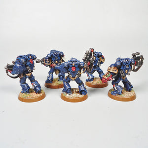 Warhammer 40k Crimson Fist Space Marine Sternguard Veteran Squad Painted Metal