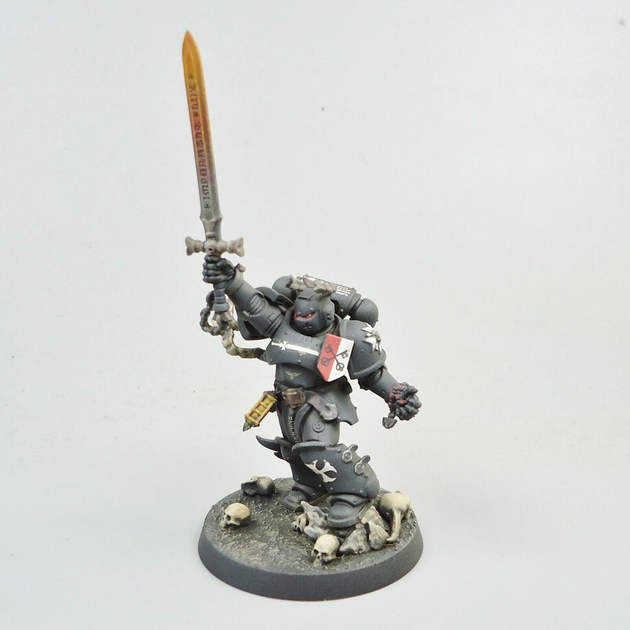 Warhammer 40k Army Space Black Templars Emperor's Champion Pai Miniatures